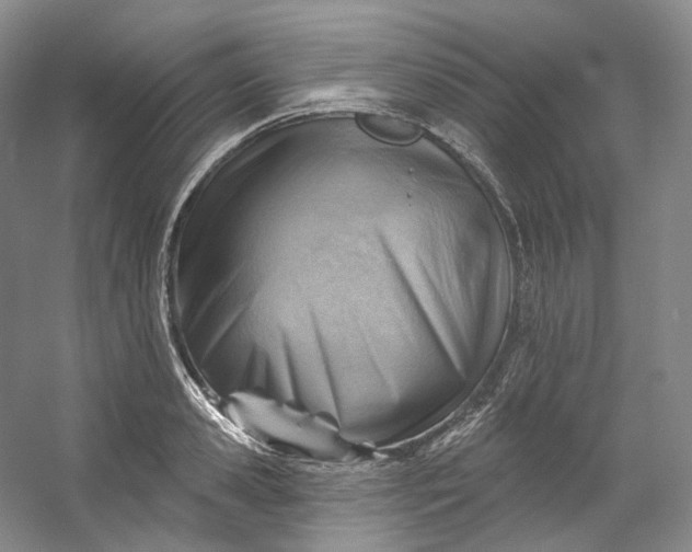 X0000053080941200507251522