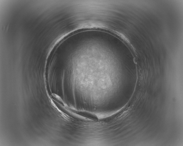 X0000053080943200507251522