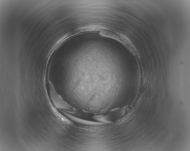 X0000053080946200507251522