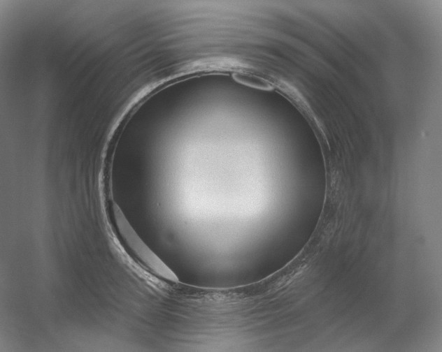X0000053080947200507251522