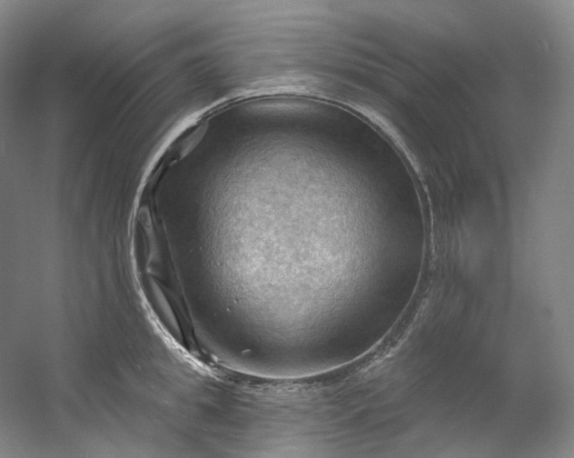 X0000053080949200507251522