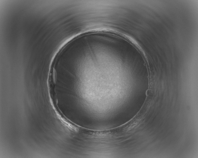 X0000053080951200507251522