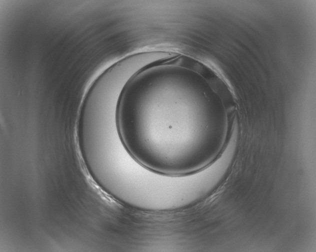 X0000053080952200507251522