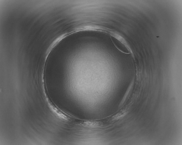 X0000053080954200507251522