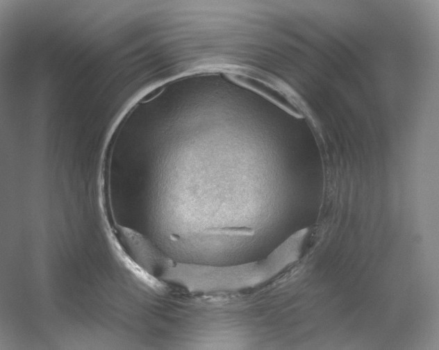 X0000053080955200507251522