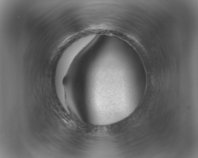 X0000053080968200507251521