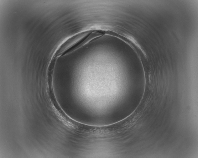 X0000053080972200507251521