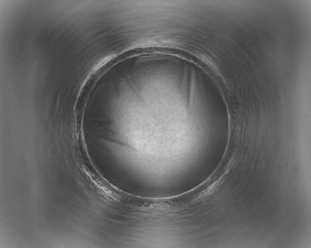 X0000053080974200507251521