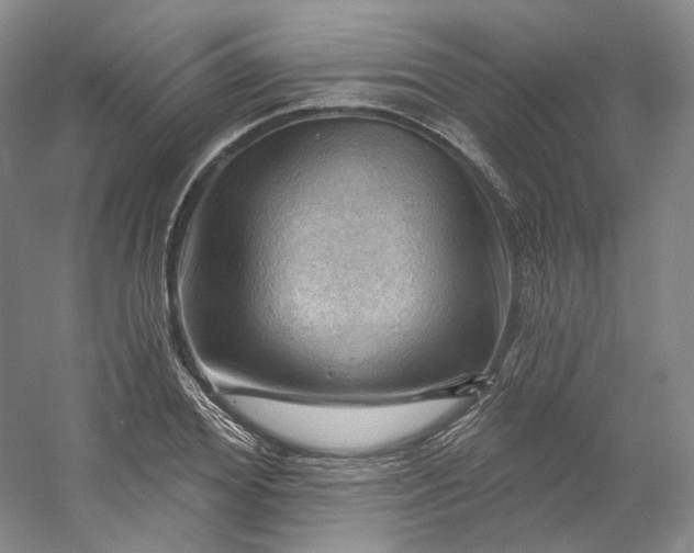 X0000053080980200507251521