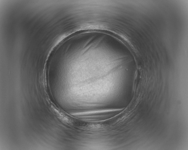X0000053080982200507251521