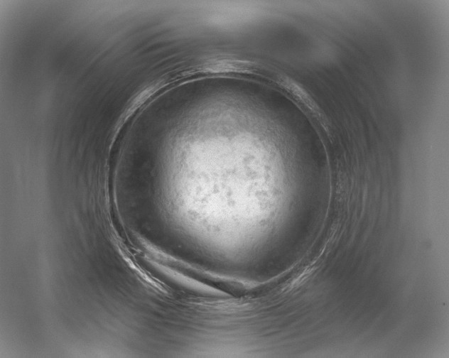 X0000053080986200507251521