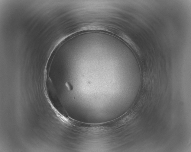 X0000053080988200507251521