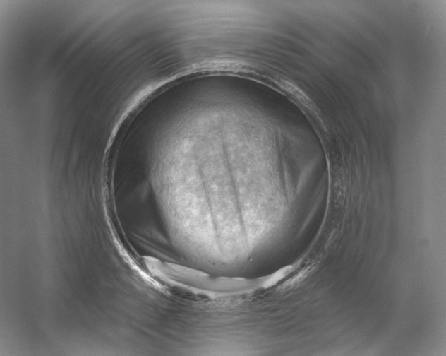 X0000053080989200507251521