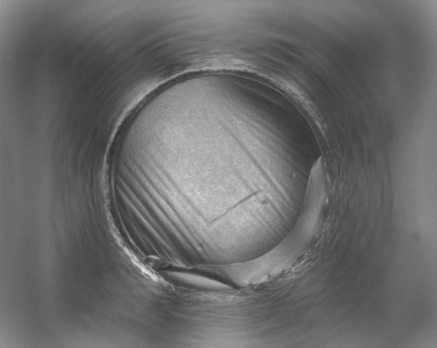 X0000053080990200507251521
