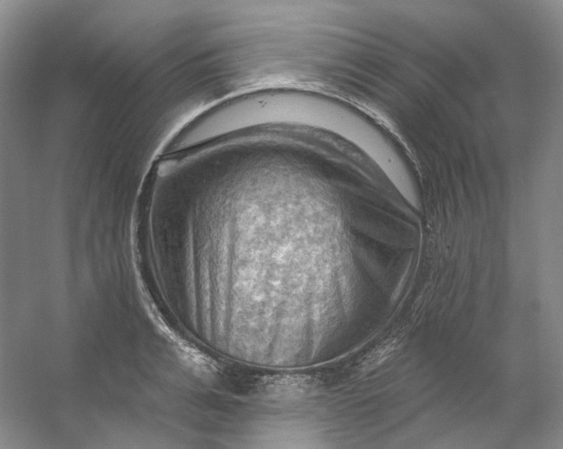 X0000053080991200507251521