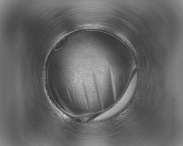 X0000053080992200507251521