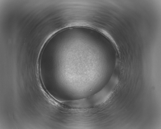 X0000053080996200507251521
