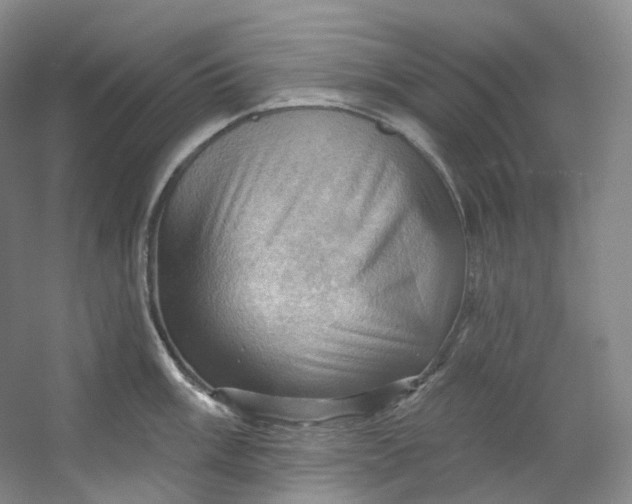 X0000053081003200507251521