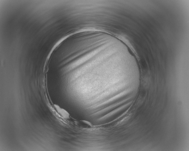 X0000053081004200507251521