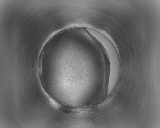 X0000053081005200507251521