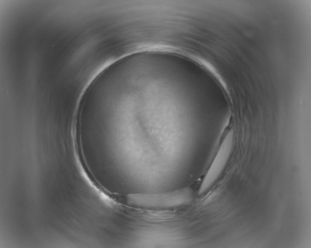 X0000053081007200507251521