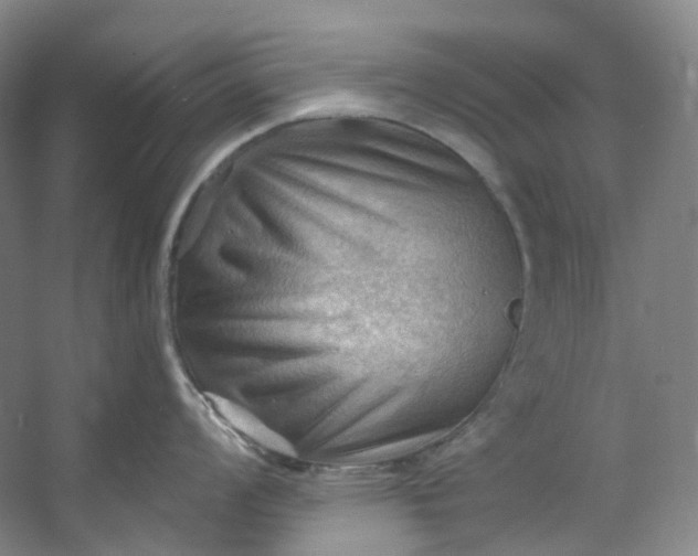 X0000053081008200507251521