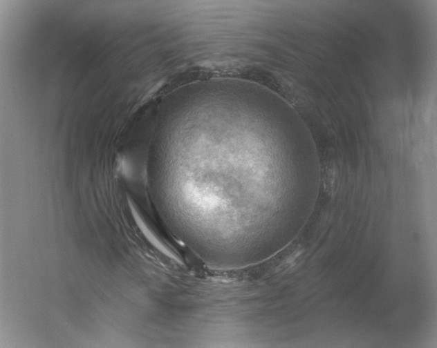 X0000053081010200507251520