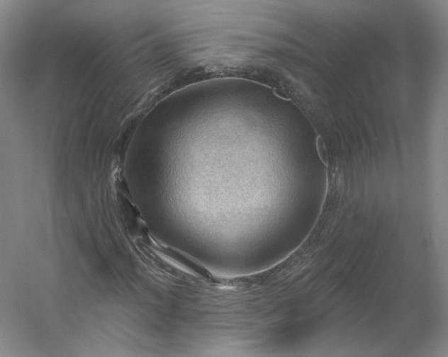 X0000053081012200507251520