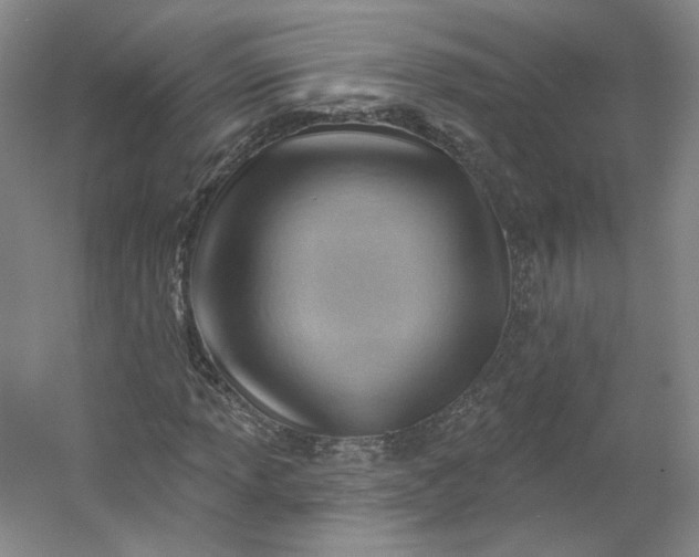 X0000053081013200507251520