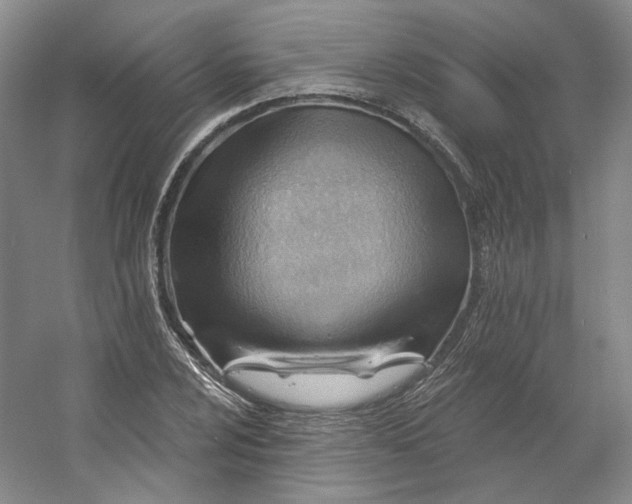 X0000053081024200507251520