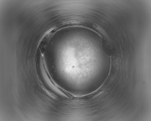 X0000053081026200507251520