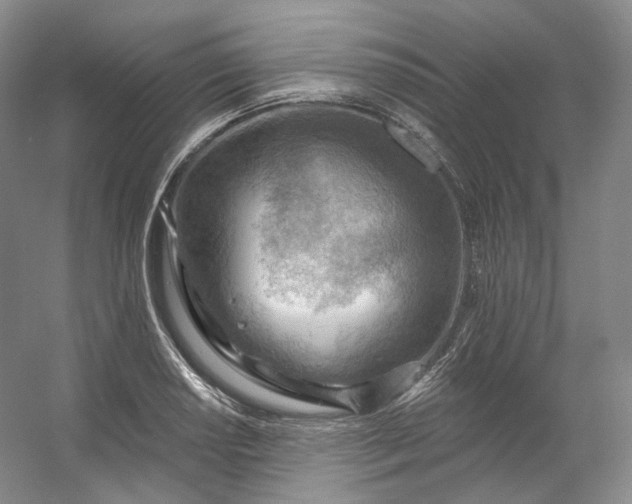 X0000053081034200507251520