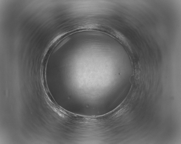 X0000053081035200507251520