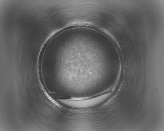 X0000053081037200507251520