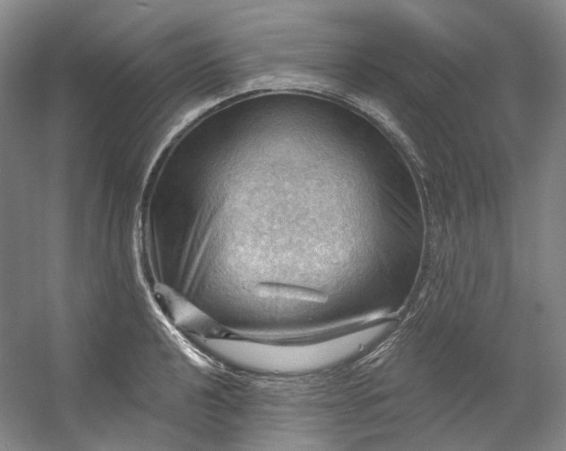 X0000053081040200507251520