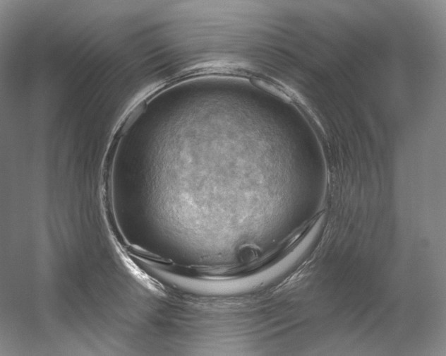 X0000053081042200507251520