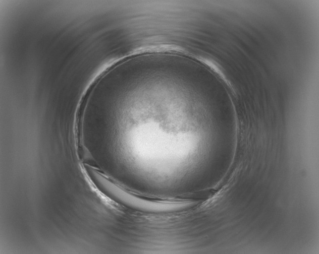 X0000053081046200507251520