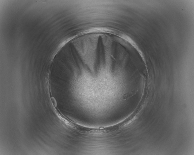 X0000053081049200507251521