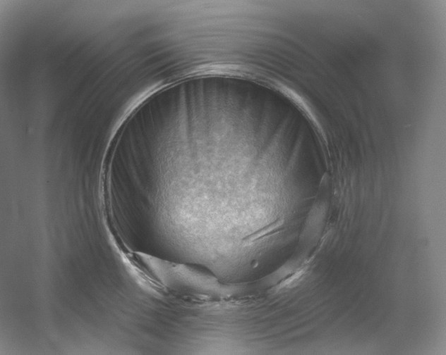 X0000053081050200507251521