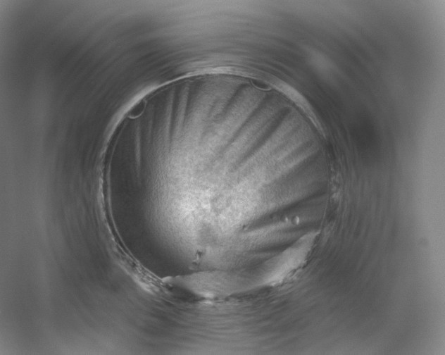 X0000053081051200507251521