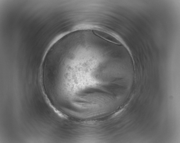 X0000053081053200507251521