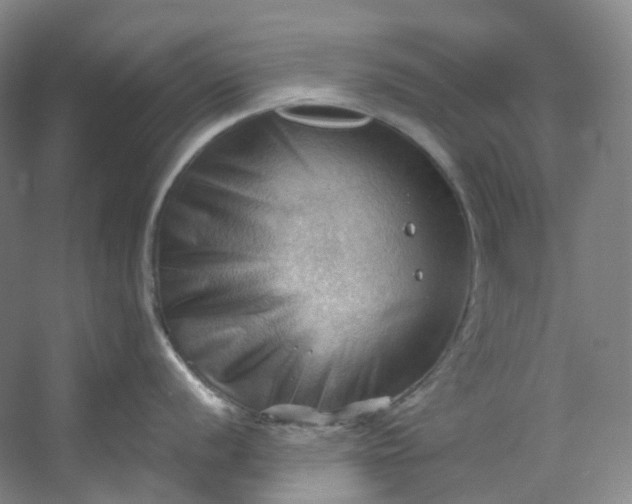 X0000053081056200507251521