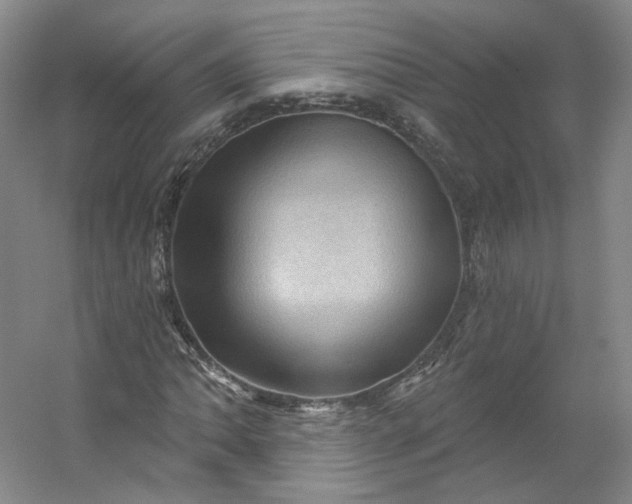 X0000053081062200507251520