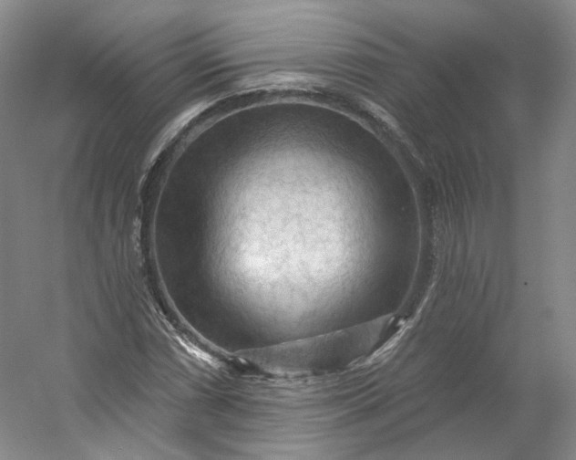 X0000053081066200507251520