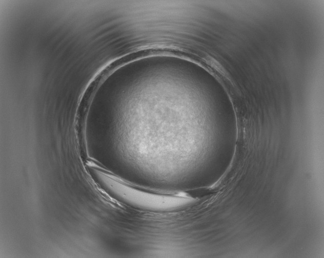 X0000053081068200507251520