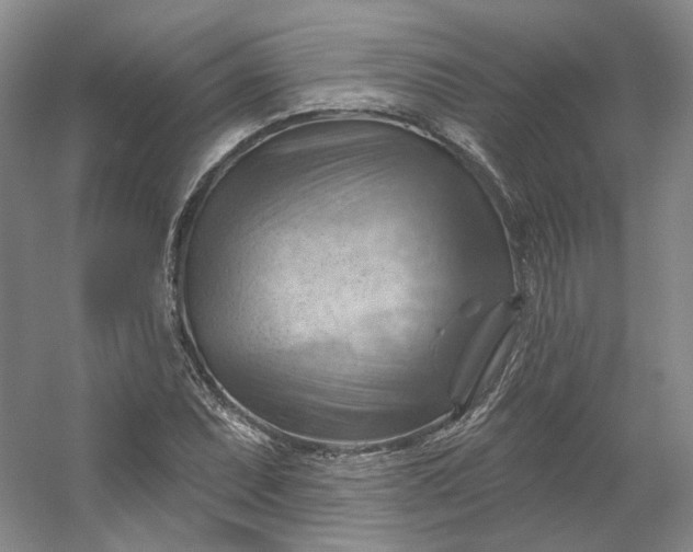 X0000053081071200507251520