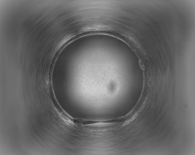 X0000053081073200507251520