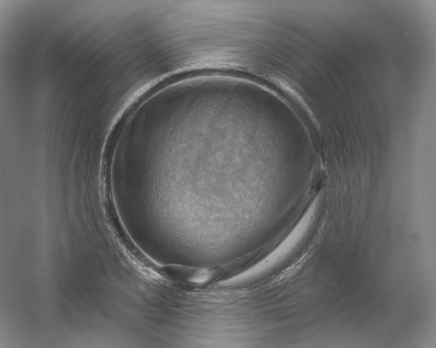 X0000053081077200507251519