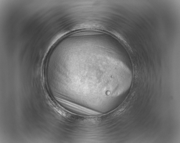 X0000053081078200507251519