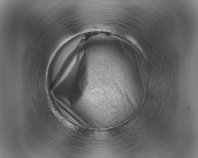 X0000053081080200507251519
